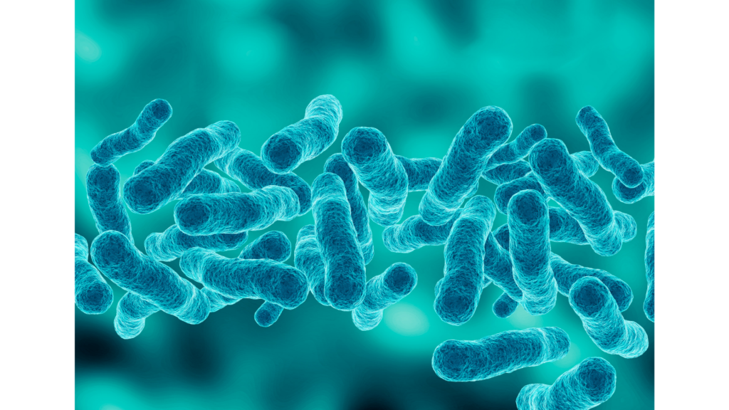 legionella